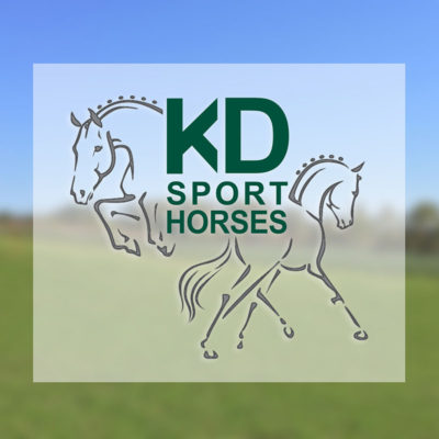 KD Sport Horses Logo Design