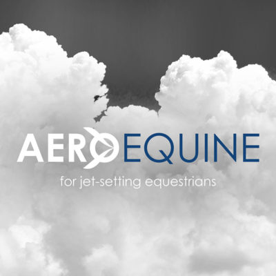 AeroEquine Logo Design