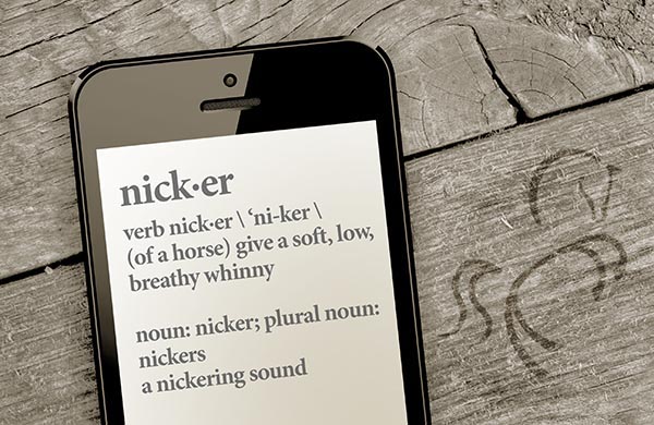 Nicker Creative - Equestrian Marketing & Branding