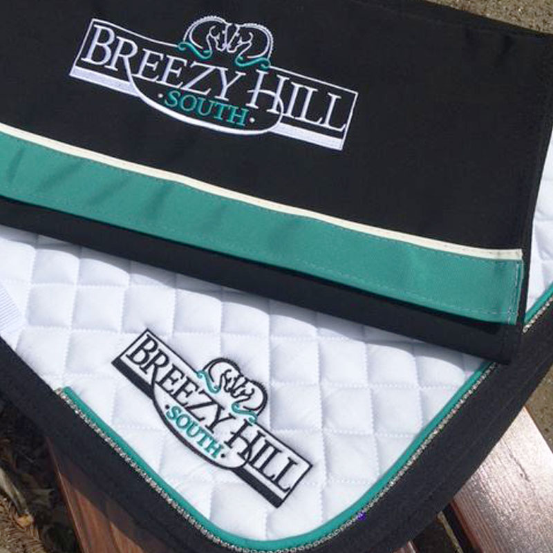 Breezy Hill South Logo Design